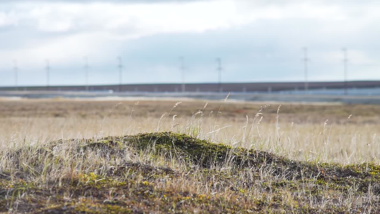 전력 라인과 함께 북극 드라 풍경