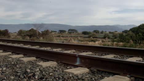 railroad tracks alongside the country