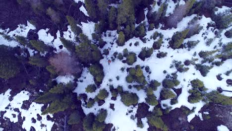 Two-men-walk-in-a-nordic-forest-in-Canada