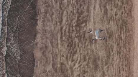 toma aérea cenital del dron dji sobre la playa