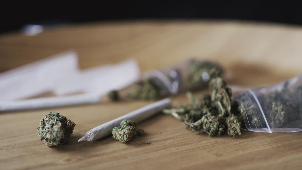 It's a green type of day