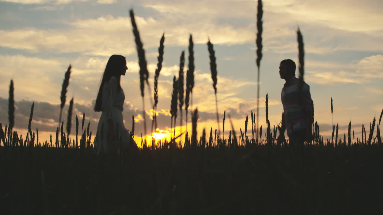 석양에 밀밭에서 포옹하고 키스하는 커플 1