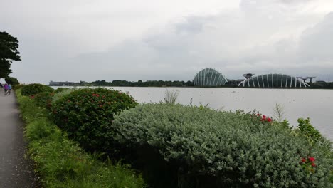 gardens by the bay in singapore