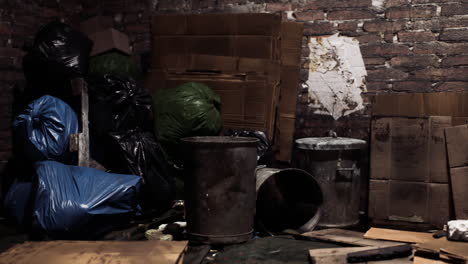 cluttered storage area with trash bags and cardboard boxes in a dimly lit space