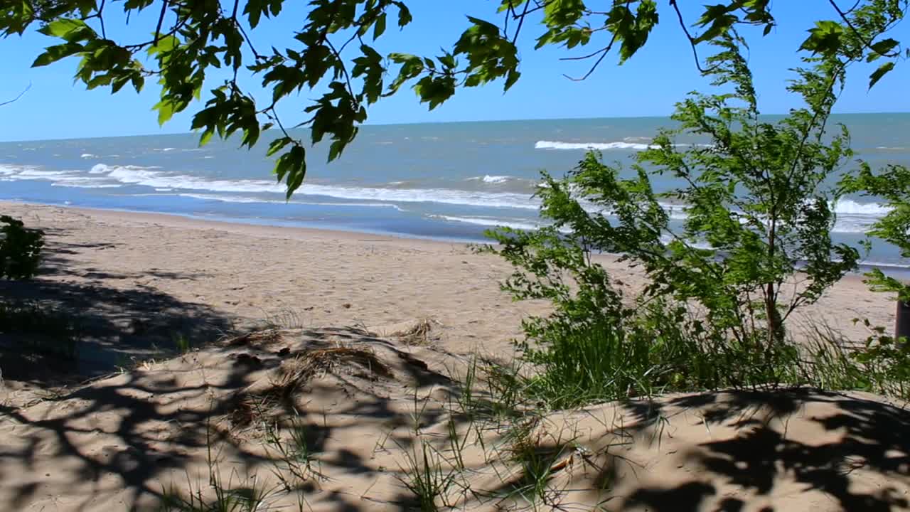 Lake Michigan waves crash on sandy beach, framed by sand dune and leafy branches. Indiana Dunes National Park, USA