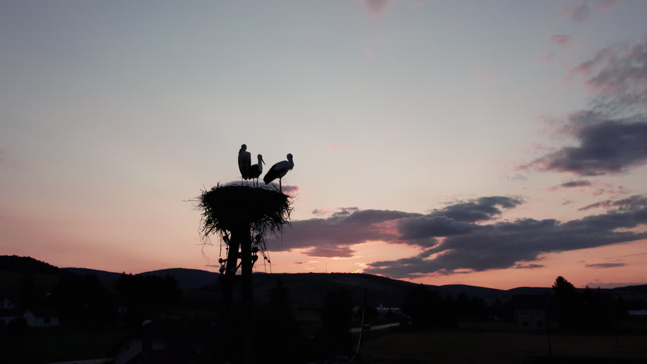 Silhouette of storks standing in their nest at sunset with colorful sky and peaceful rural landscape in Bosnia and Herzegovina, symbolizing love, nature, and wildlife