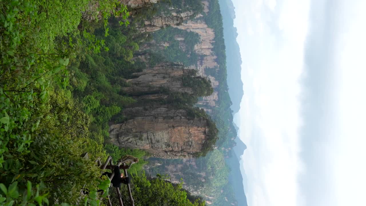 turista frente a un mono salvaje extiende su mano abierta y pilares cársticos en el fondo en zhangjiajie, china