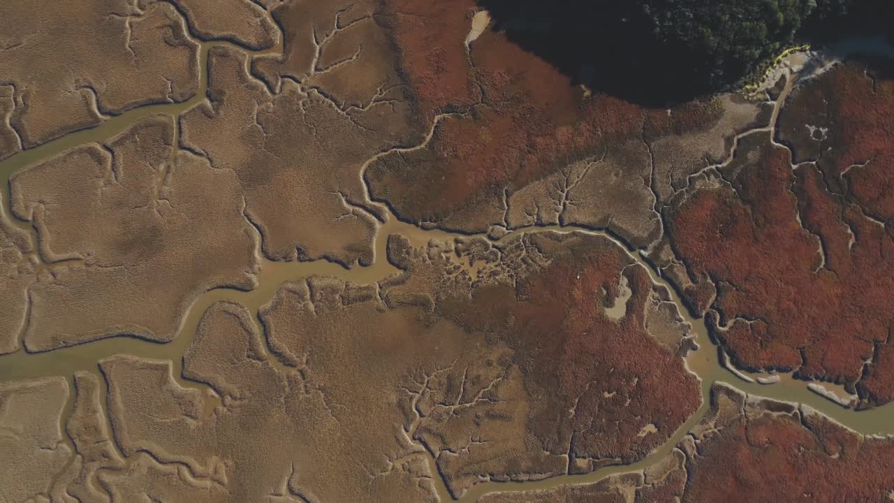 осадочные отложения рек создают болотистую местность и естественную среду обитания диких животных