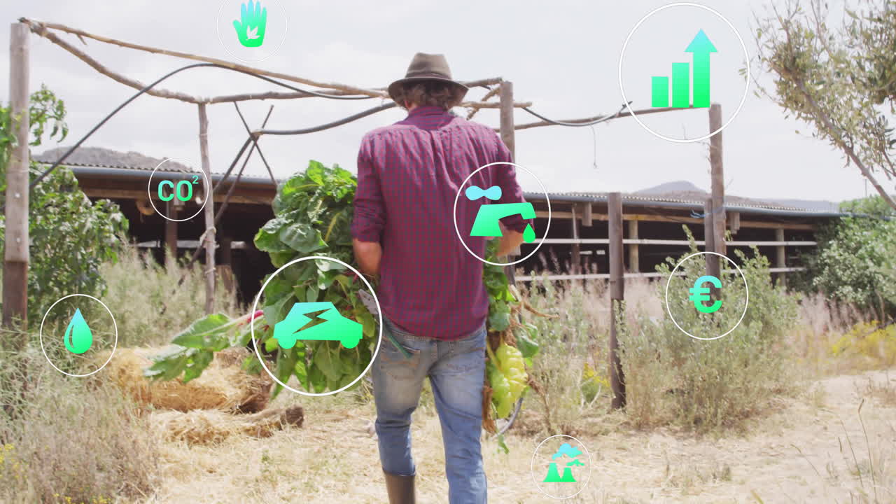 man carrying leafy greens walking through dry agriculture field, showing sustainability icons