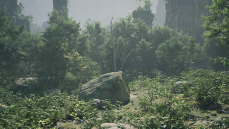 foggy forest with ruins and stones