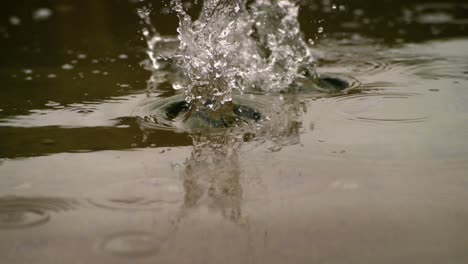 Stones hitting water surface in super slow motion
