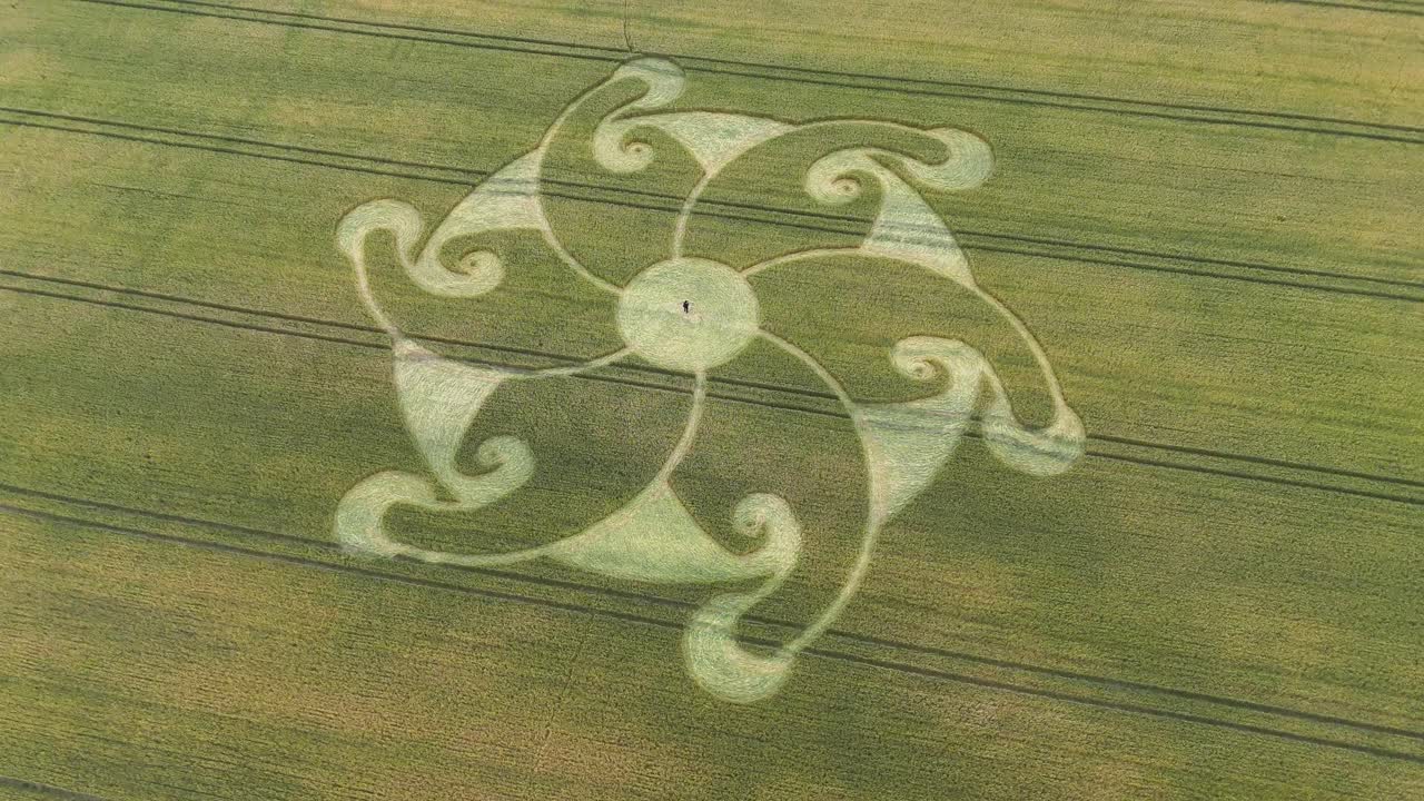 에치햄튼 꽃 만달라 작물 원 항공 사진 윌트셔 농장 위로 회전