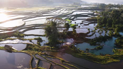 Sol-Brillante-Brillando-Sobre-Los-Campos-De-Arroz-Y-Las-Cascadas-De-Weekacura-En-Sumba,-Indonesia