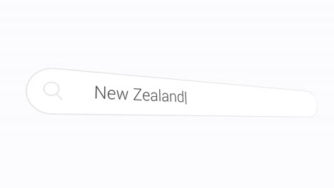 new zealand in search bar on virtual screen