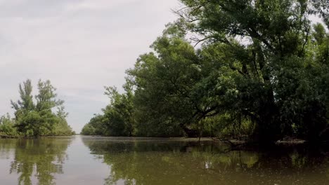 Cruzando-Un-Rio-En-El-Bosque