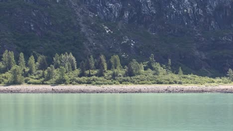 costa rocosa, pasaje interior, alaska