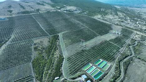 aerial video of agricultural fields arranged in geometric patterns. the patches of green and brown vegetation are divided by distinct pathways, with several turquoise water bodies