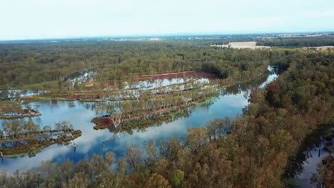 aerial view of the swollen murray river and forests just upstream of lake mulwala, australia