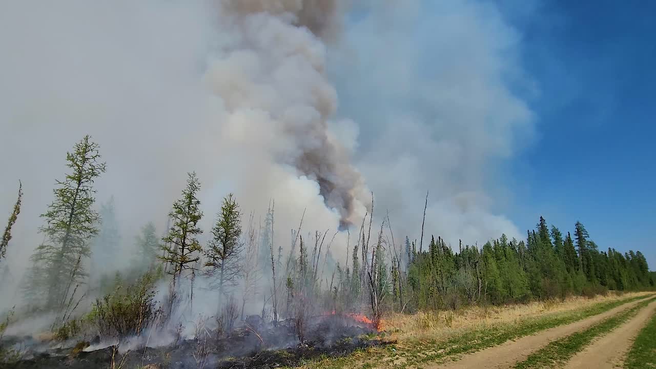 el fuego se acerca a la carretera de tierra, arrojando un enorme humo al aire.