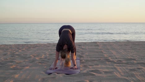 Hündin-Macht-Yoga-Mit-Herabschauendem-Hund-Am-Ruhigen-Strand-Bei-Sonnenuntergang