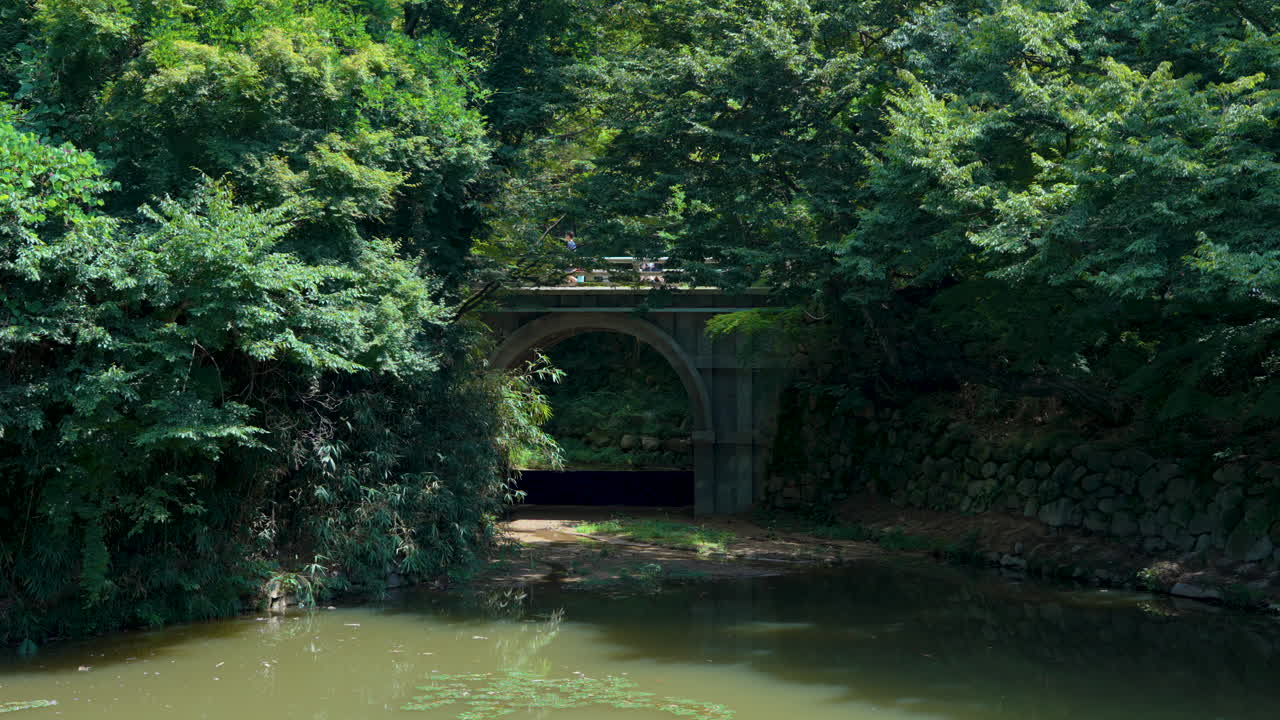 Arched Concrete Bridge Over the Lake Surrounded By Lush Green Forest at Bulguksa Temple in Gyeongju, South Korea