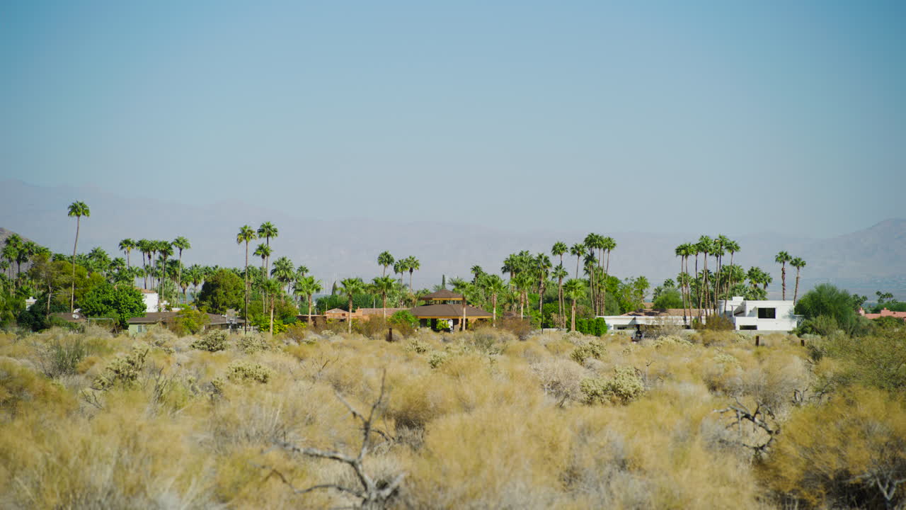 Palm Springs houses surrounded by palm trees from Indian reservation perspective. Rising dolly shot