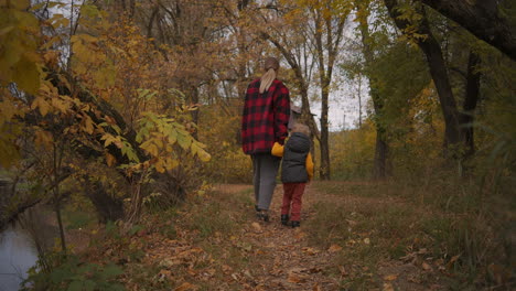 family hiking in forest woman is holding hand of her little child boy walking together between trees rear view enjoying autumn landscapes