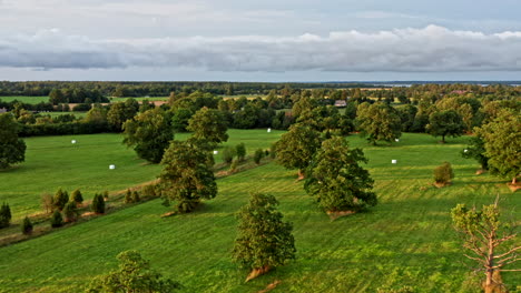 Flying-slowly-above-an-oak-tree-covered-field-with-haystacks-laying-around