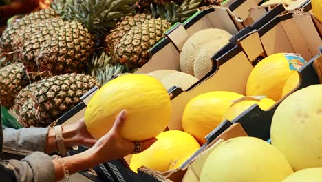 a person examines canary melons in a well-lit supermarket, surrounded by pineapples and cantaloupes, highlighting fresh produce selection