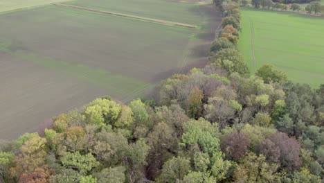 Drohnenaufnahmen-Von-Landstraßen-Und-Bäumen-Mit-Herbstfarben,-Aufgenommen-Am-Ort-Uetz-In-Brandenburg,-Deutschland