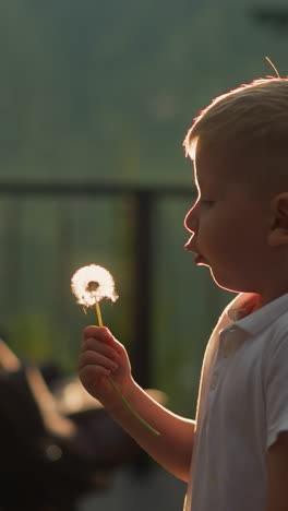 child blows fluffy dandelion in park. little boy plays with dry flower standing outdoors. tranquil kid blows seeds from windflower at countryside