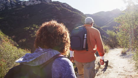 vista posterior de un grupo de amigos mayores que van de excursión a lo largo del sendero en el campo juntos
