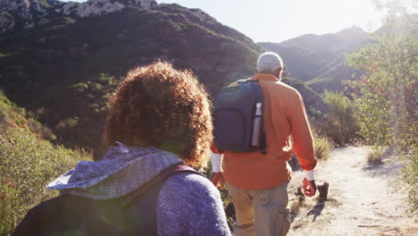 rear view of group of senior friends going hiking along trail in countryside together