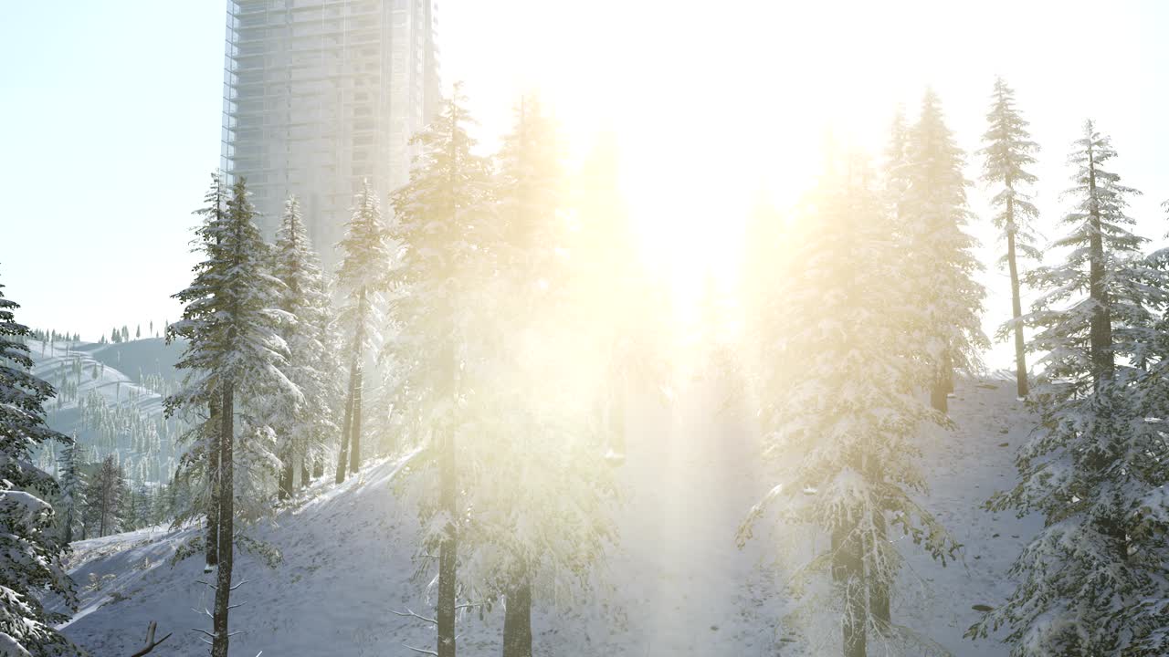 눈 속에 있는 도시와 숲