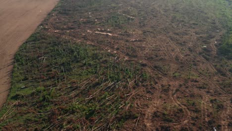 Aerial-drone-shot-of-fallen-trees-after-tornado-in-Czech-republic