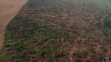 aerial drone shot of fallen trees after tornado in czech republic