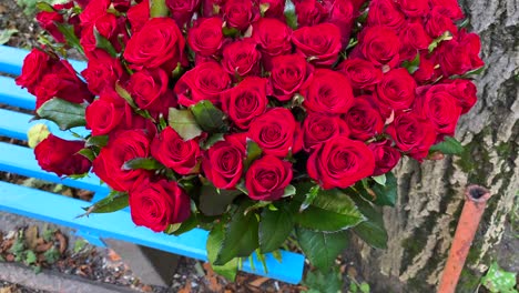 Hermoso-Ramo-De-101-Rosas-Rojas-En-Un-Banco,-Definición-Y-Significado-Del-Amor-Verdadero,-Flores-Románticas,-Regalo-De-San-Valentín,-Muestra-De-Sentimientos,-Toma-De-4k