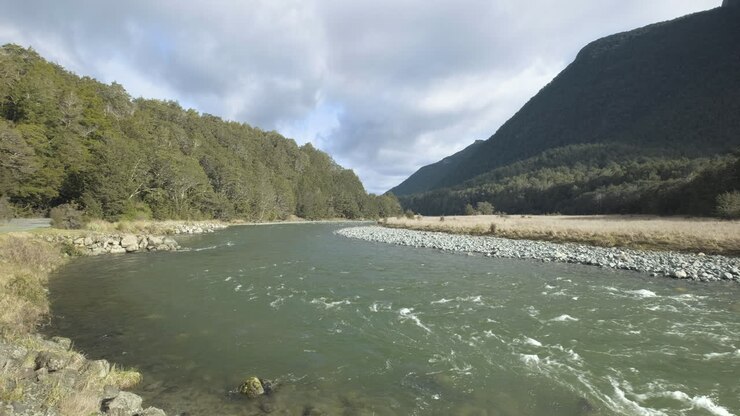 Fiume che scorre circondato da una foresta lussureggiante e montagne nell'Isola del Sud della Nuova Zelanda.