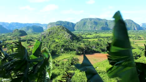 view of the viñales valley with famous mountains in cuban countryside