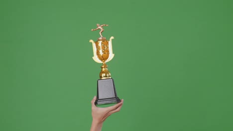 hand holding bowling trophy