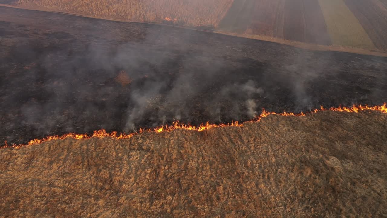 vista aérea del campo de quema de hierba seca de primavera. fuego y humo en el prado, contaminación de la naturaleza, residuos comunes se queman en rumania