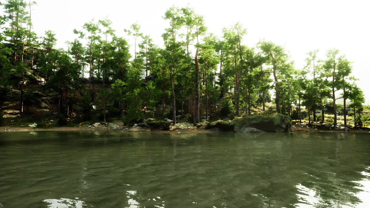 숲 속 의 아름다운 호수