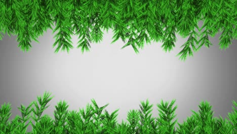 Green-christmas-tree-branches-with-copy-space-on-grey-background