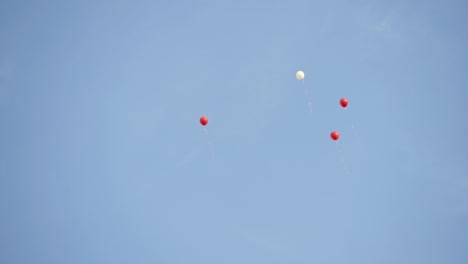 balloons in the sky