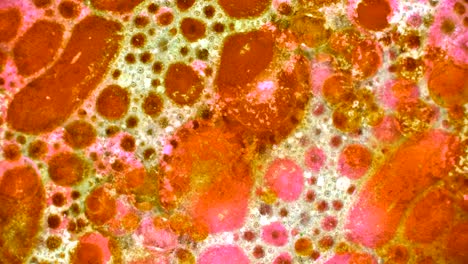 fabulous patterns