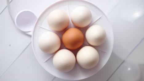 chicken eggs in a egg electric cooker on a white wooden table
