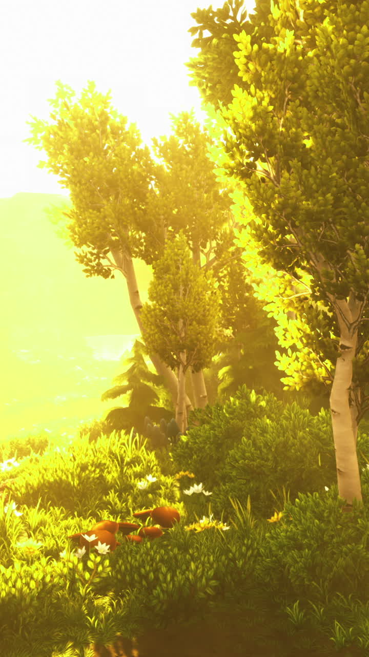 Sunlit forest glade reveals natures tranquil beauty at golden hour