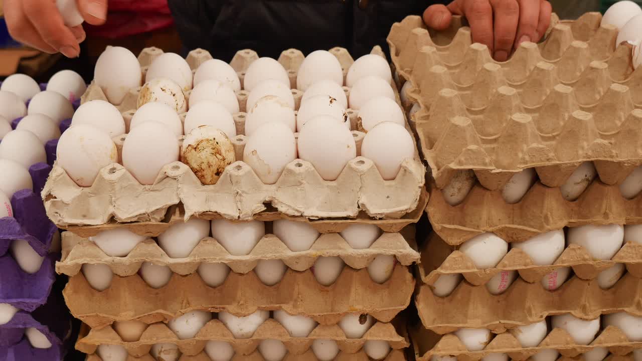 Hände legen frische weiße Eier in Eierkartons