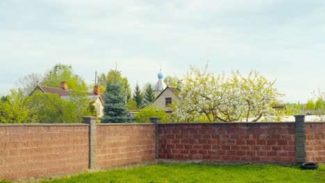 yard view over a brick wall toward blooming fruit trees, village houses and an orthodox blue dome rising behind fresh spring foliage. malutki, latvia (malutki, latvija)
