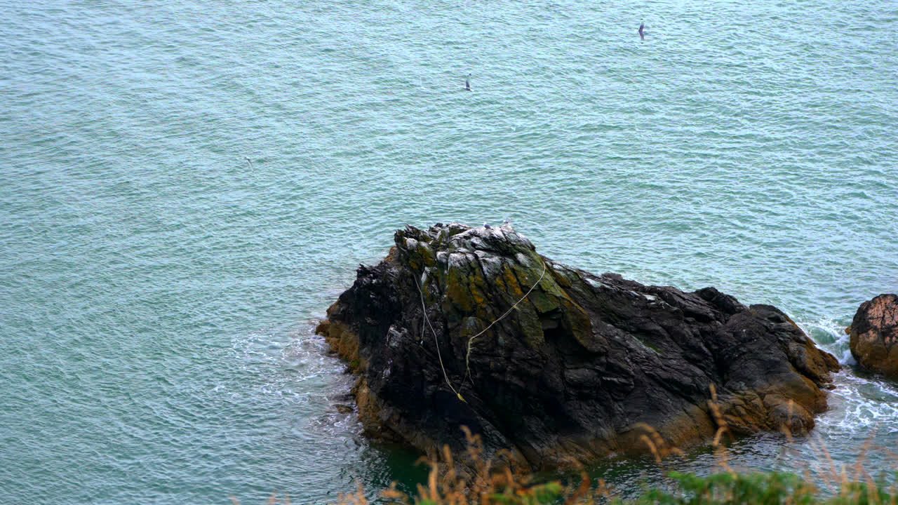 Waves crash against the rocky shore of Howth Peninsula as seabirds soar above the cliffs. The dynamic coastal scene captures Ireland’s rugged beauty, perfect for travel, nature, and wildlife footage.
